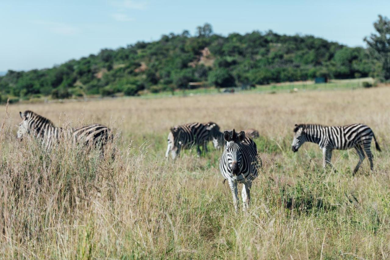 Thaba Eco Hotel Johannesburg Dış mekan fotoğraf